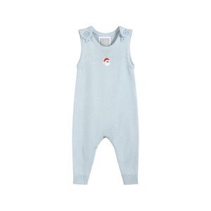 Lil Cactus Girls  Romper, Blue